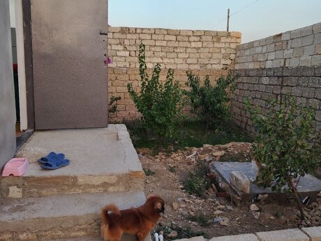 Maştağada 3 otaqlı həyət evi satılır, 90 m², 38 500 AZN, şəkil 2 / 10