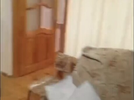3 otaqlı ev, 80 m², Yeni Günəşli, 400 AZN