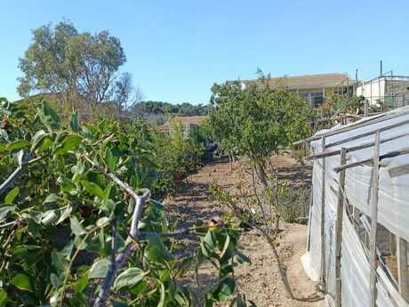 8-room house for sale in Buzovna, 200 m², 21 000 AZN, photo 5 / 12