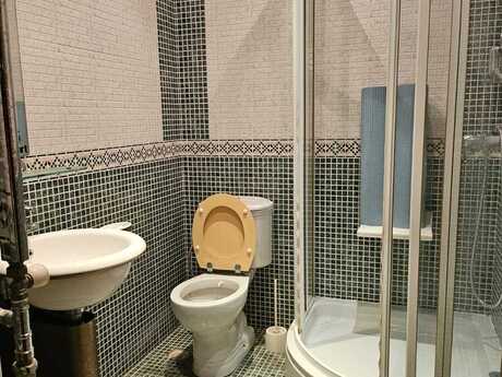 Nəsimidə 9 otaqlı həyət evi kirayə verilir, 700 m², 10 000 AZN/ay, şəkil 4 / 11