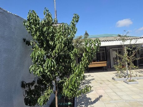 Yeni Suraxanıda 2 otaqlı həyət evi satılır, 48 m², 120 000 AZN, şəkil 3 / 12