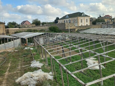 Bilgəhdə 4 otaqlı həyət evi satılır, 26 m², 15 000 AZN, şəkil 5 / 5