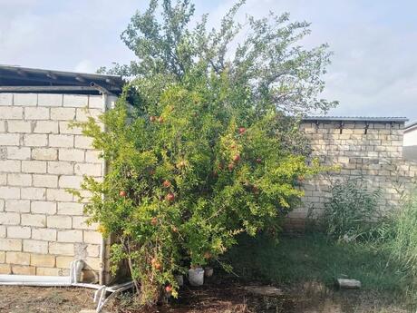 2-room house for sale in Qobustan, 80 m², 45 000 AZN, photo 3 / 6