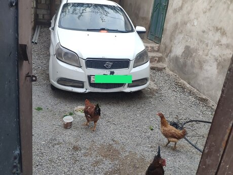 3-room house for sale in Sulutəpə, 95 m², 58 000 AZN, photo 5 / 11