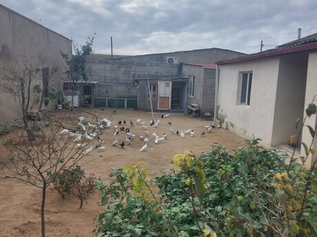 3 rooms · 120 m² · floor 1/1, Şüvəlan