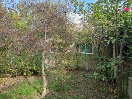 Novxanıda 3 otaqlı həyət evi satılır, 120 m², 80 000 AZN, şəkil 5 / 12