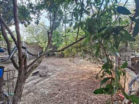 3 otaq · 80 m²