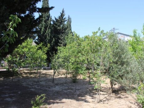 Maştağada 14 otaqlı həyət evi satılır, 750 m², 350 000 AZN, şəkil 5 / 12
