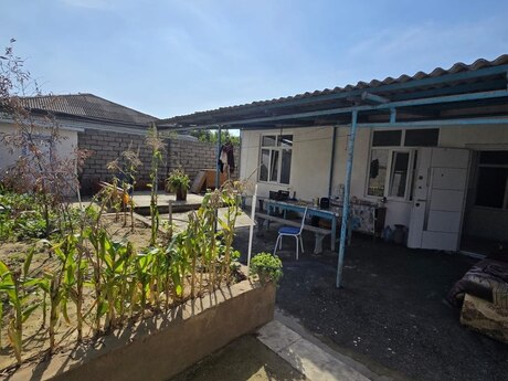 3 otaq · 200 m²