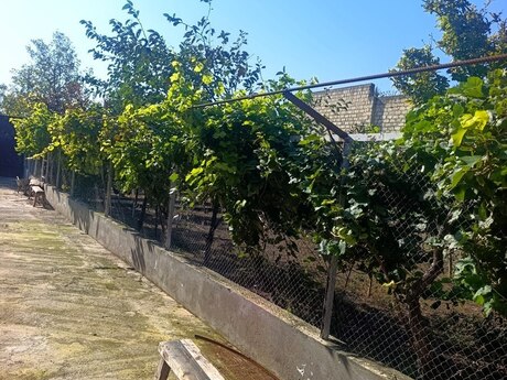 Yeni Suraxanıda 6 otaqlı həyət evi satılır, 300 m², 450 000 AZN, şəkil 4 / 12