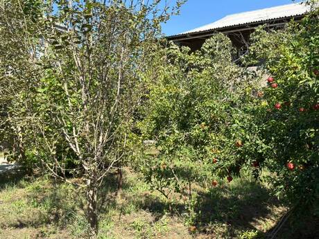 Savalanda 3 otaqlı həyət evi satılır, 140 m², 80 000 AZN, şəkil 2 / 12