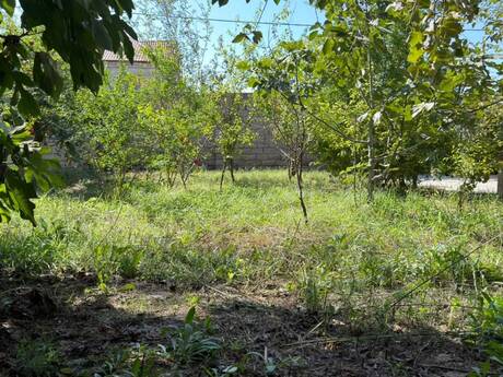 3 otaqlı ev, 140 m², Savalan, 80 000 AZN