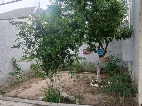 Maştağada 2 otaqlı həyət evi satılır, 70 m², 60 000 AZN, şəkil 4 / 12