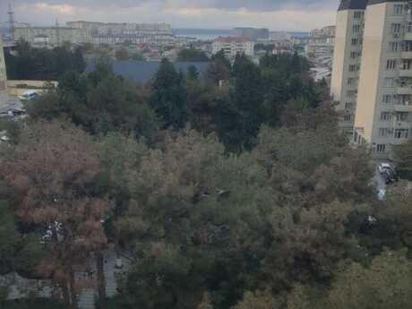 Abşeronda 1 otaqlı yeni tikili mənzil satılır, 42 m², 103 000 AZN, şəkil 4 / 12