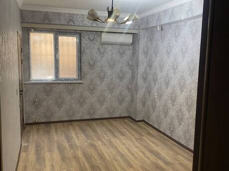 3 rooms · 55 m²