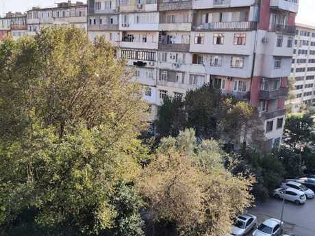 5 otaqlı mənzil, 120 m², 8-ci mikrorayon, 340 000 AZN