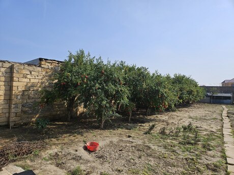 Novxanıda 5 otaqlı həyət evi satılır, 2 000 m², 270 000 AZN, şəkil 4 / 12