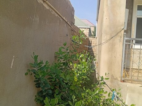 Hövsanda 3 otaqlı həyət evi satılır, 200 m², 70 000 AZN, şəkil 5 / 12
