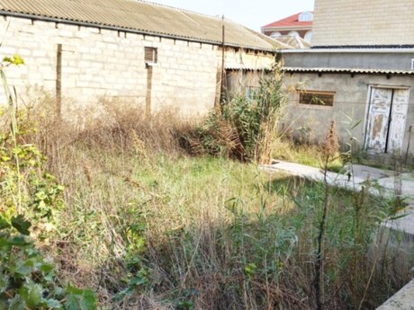 2 otaq · 55 m²