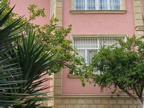 8 otaq · 300 m² · 1/1 mərtəbə, Həzi Aslanov
