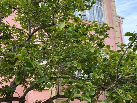 Həzi Aslanovda 8 otaqlı həyət evi satılır, 300 m², 700 000 AZN, şəkil 2 / 12
