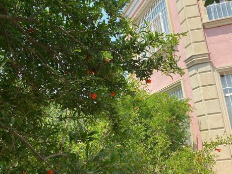 Həzi Aslanovda 8 otaqlı həyət evi satılır, 300 m², 700 000 AZN, şəkil 4 / 12