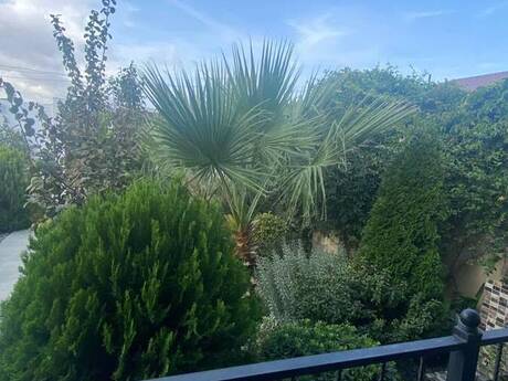 Mərdəkanda 2 otaqlı həyət evi satılır, 116 m², 245 000 AZN, şəkil 5 / 12