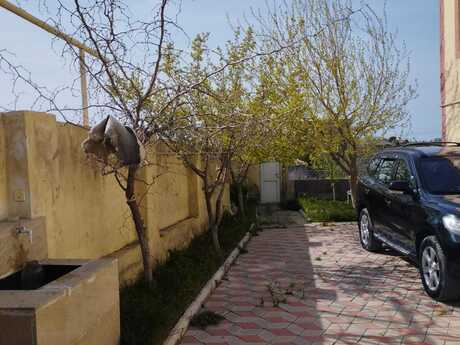 Maştağada 5 otaqlı həyət evi satılır, 250 m², 120 000 AZN, şəkil 2 / 12
