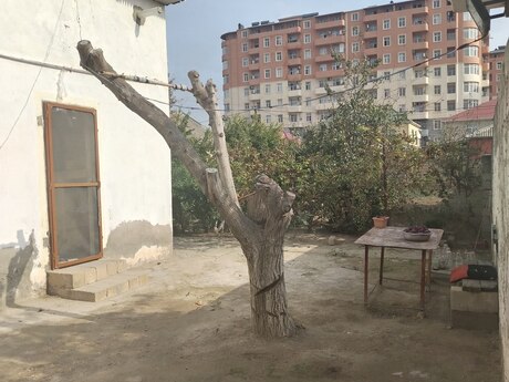 Sarayda 4 otaqlı həyət evi satılır, 120 m², 180 000 AZN, şəkil 2 / 4