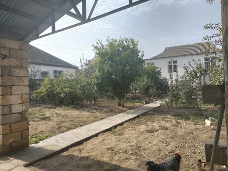 Sarayda 4 otaqlı həyət evi satılır, 120 m², 180 000 AZN, şəkil 4 / 4