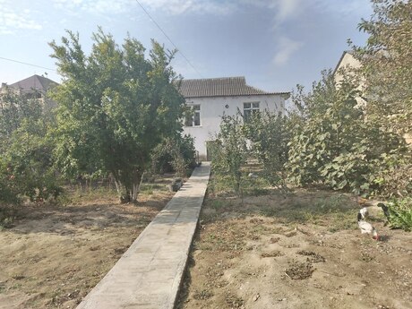4 otaq · 120 m² · 1/1 mərtəbə, Saray