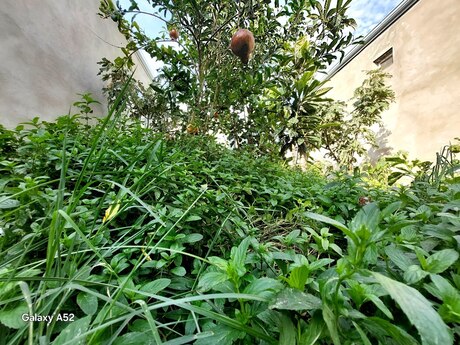 Binədə 3 otaqlı həyət evi satılır, 85 m², 65 000 AZN, şəkil 5 / 12