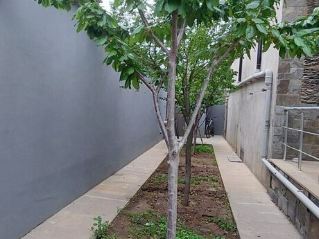 5-room house for sale in Mərdəkan, 500 m², 255 000 AZN, photo 5 / 12