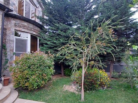 5-room house for sale in Mərdəkan, 500 m², 255 000 AZN, photo 4 / 12