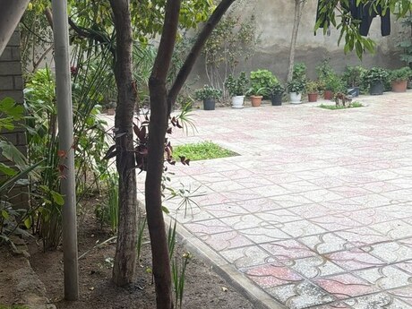 Ramanada 4 otaqlı həyət evi satılır, 250 m², 130 000 AZN, şəkil 5 / 12