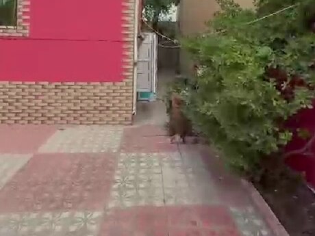 3-room house for sale in Zabrat, 100 m², 85 000 AZN, photo 2 / 12