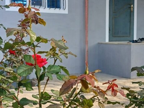 3-room house for sale in Qobu, 100 m², 85 000 AZN, photo 2 / 12