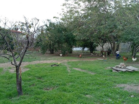 Novxanıda 4 otaqlı həyət evi satılır, 100 m², 110 000 AZN, şəkil 3 / 5