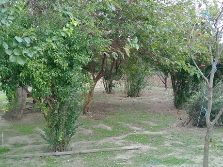 Novxanıda 4 otaqlı həyət evi satılır, 100 m², 110 000 AZN, şəkil 5 / 5