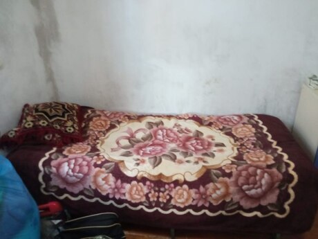 Abşeronda 2 otaqlı həyət evi kirayə verilir, 40 m², 320 AZN/ay, şəkil 4 / 11