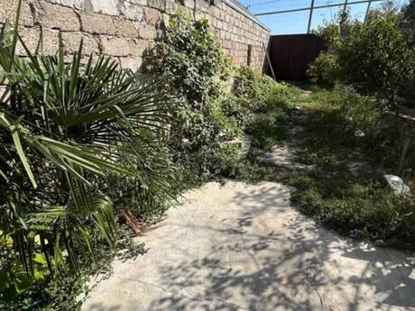 3-room house for rent in Maştağa, 36 m², 350 AZN/mo, photo 2 / 7
