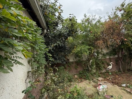 4-room house for sale in Avtovağzal, 150 m², 138 000 AZN, photo 3 / 12