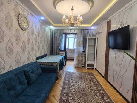 3-комн. · 55 m²