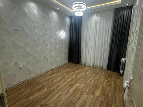 2 otaq · 55 m²
