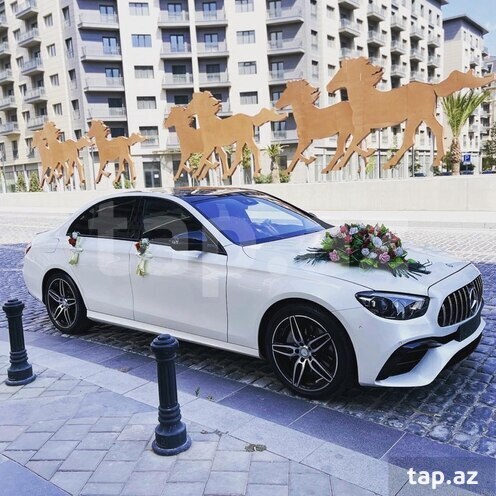 3-ci miniatür