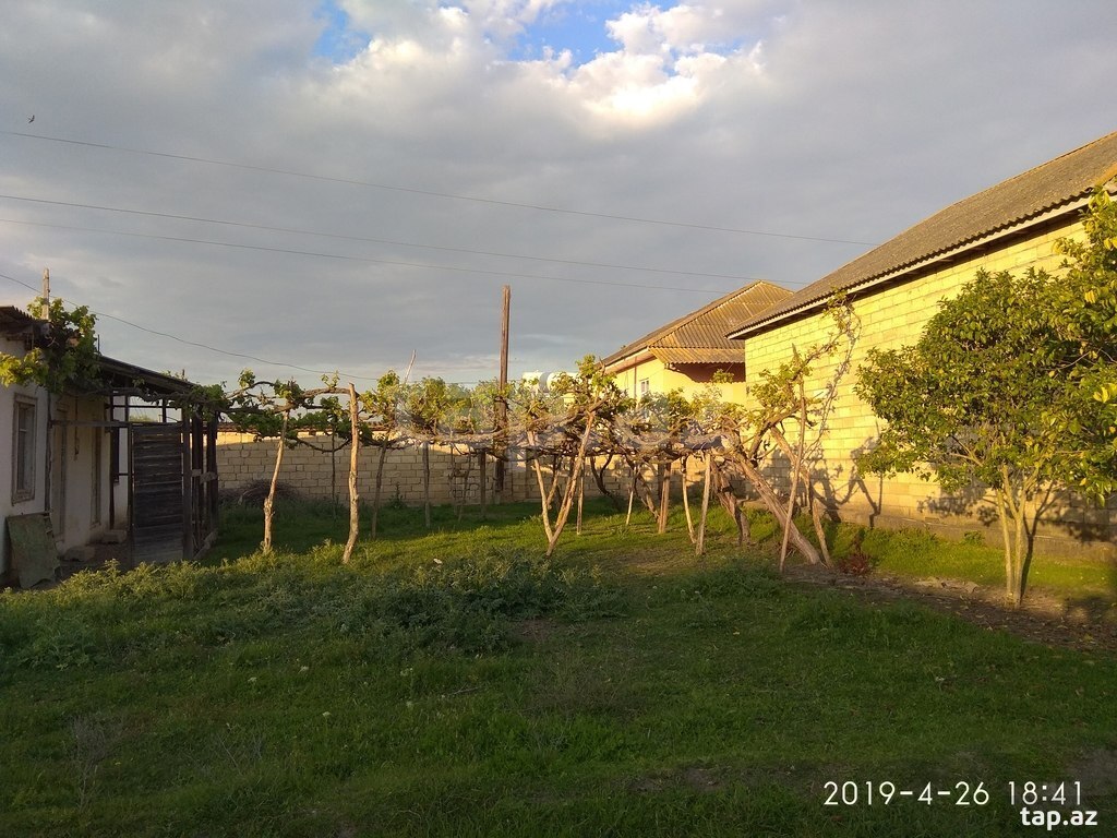 15 sot torpaq sahəsi, Salyan r.