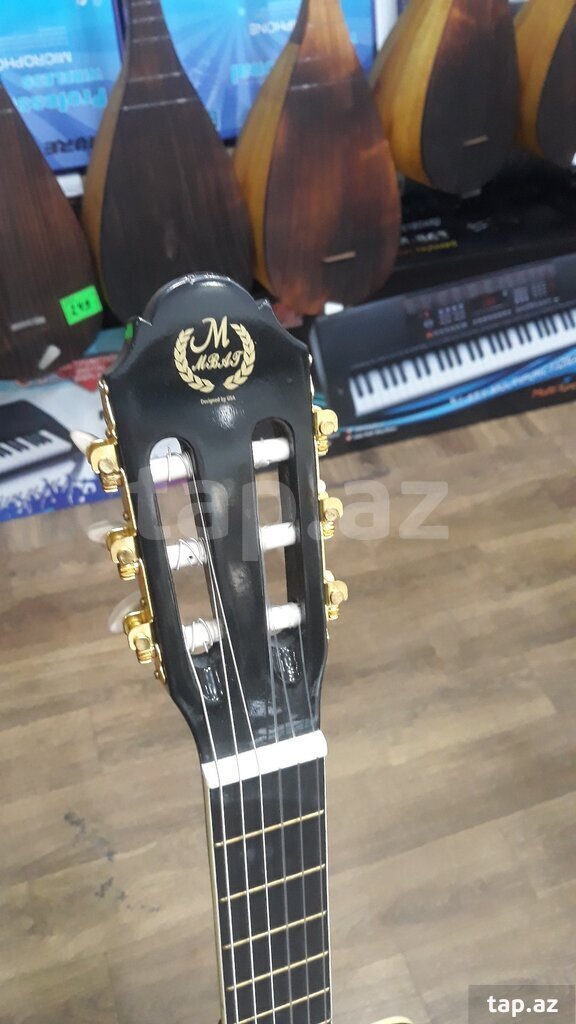 Druženje epifonskim gitarama