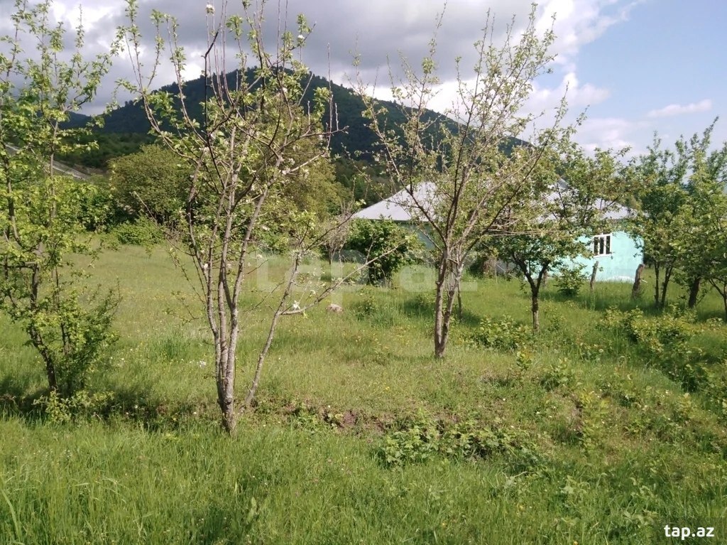 Land for sale, Ismayilli, Ismayilli