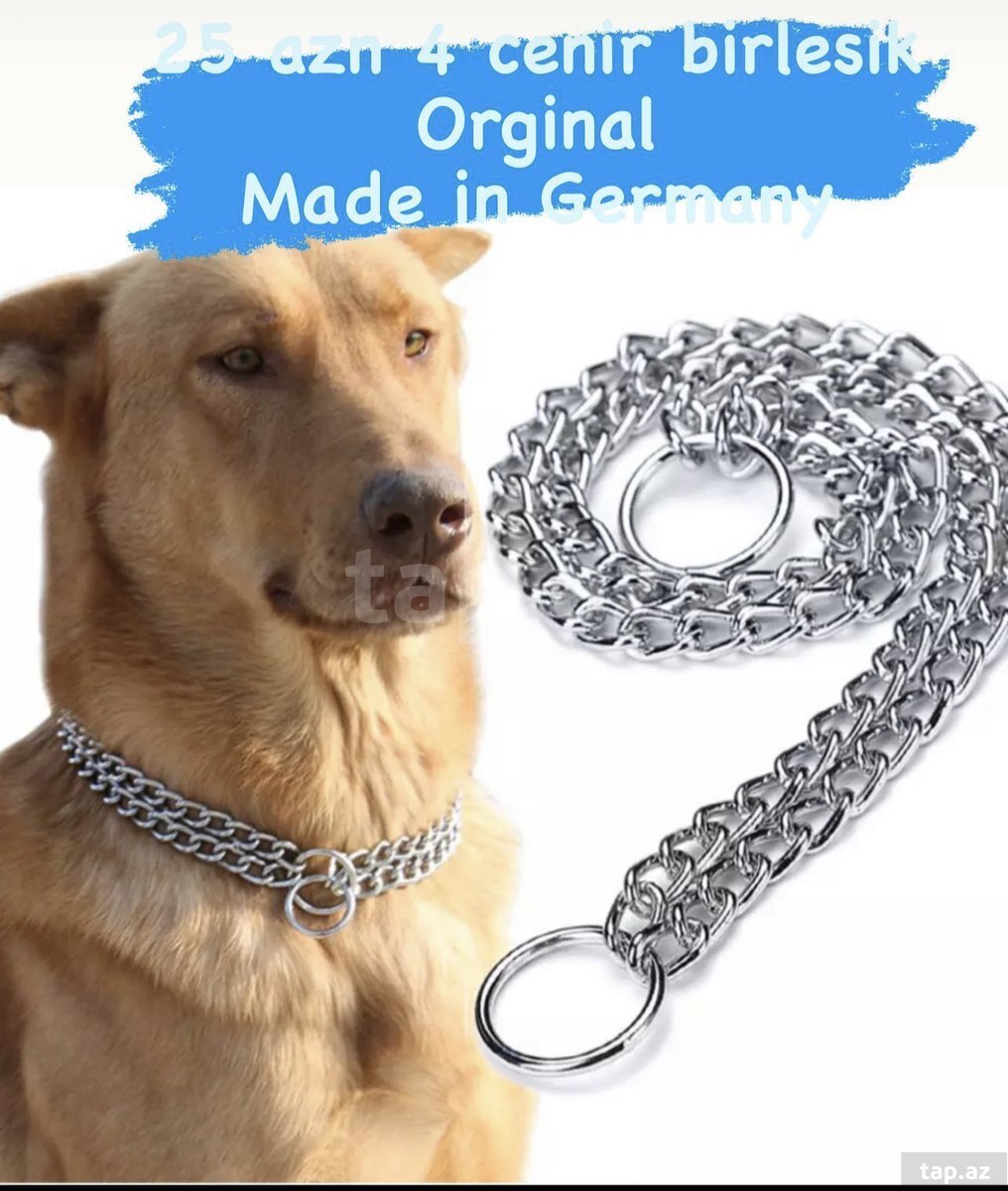 Ошейник удавка цепные. Лучшая собака на цепь. Собака на цепи. Ошейник цепочка для собак крупных. Собачья цепь.