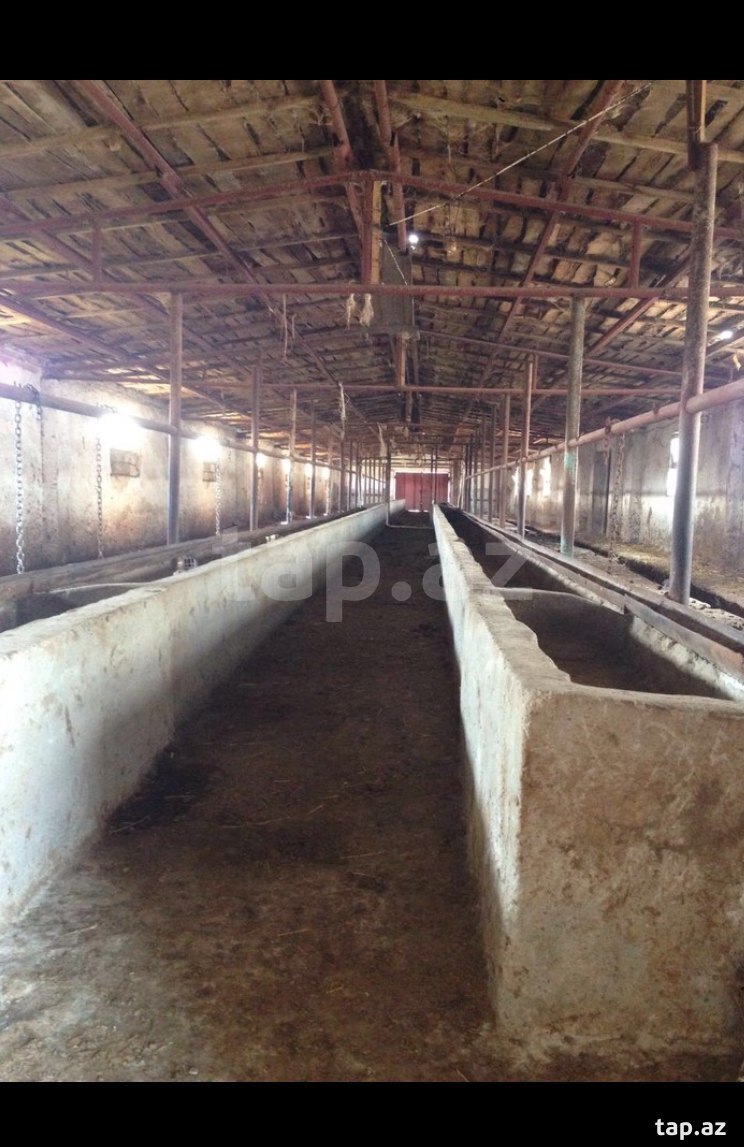 Commercial property for sale, Baku